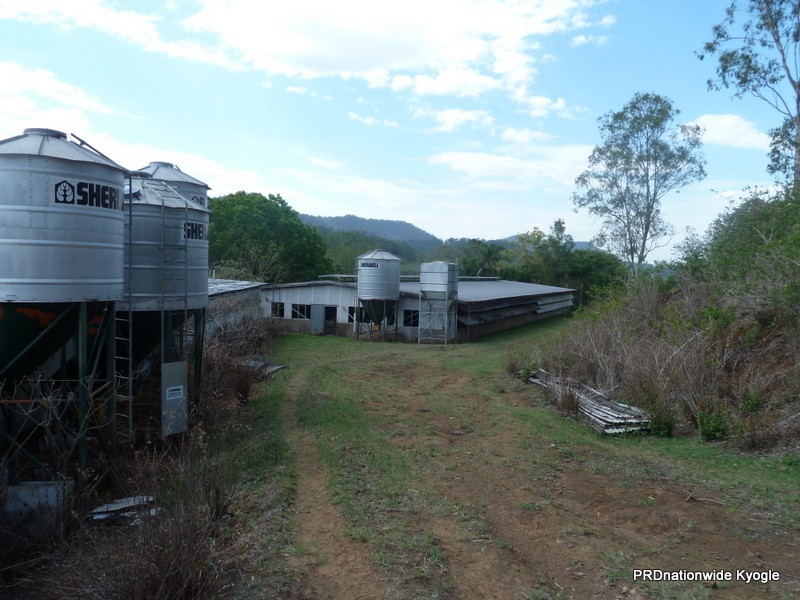 1061 Lynches Creek Road, Kyogle NSW 2474
