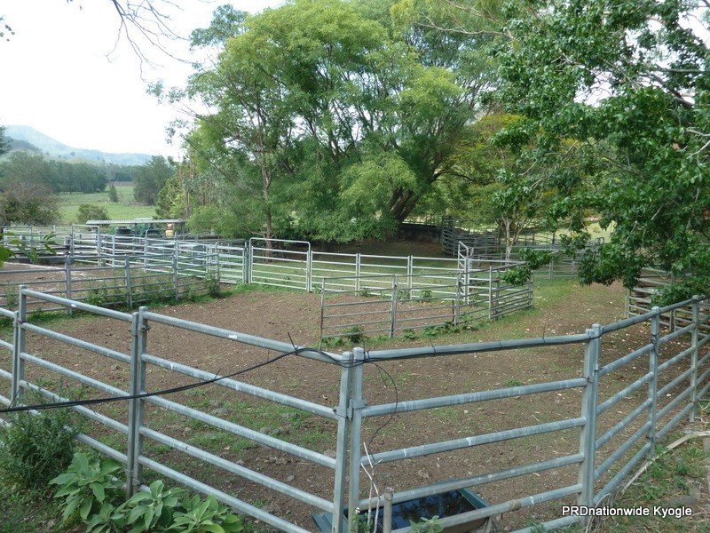 1061 Lynches Creek Road, Kyogle NSW 2474