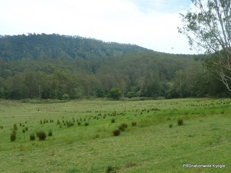 1061 Lynches Creek Road, Kyogle NSW 2474