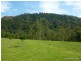1061 Lynches Creek Road, Kyogle NSW 2474