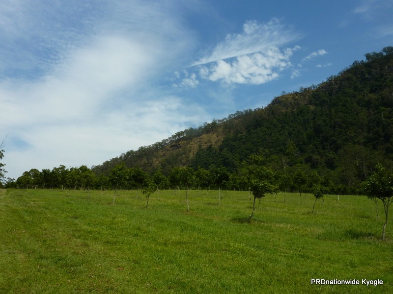 1061 Lynches Creek Road, Kyogle NSW 2474