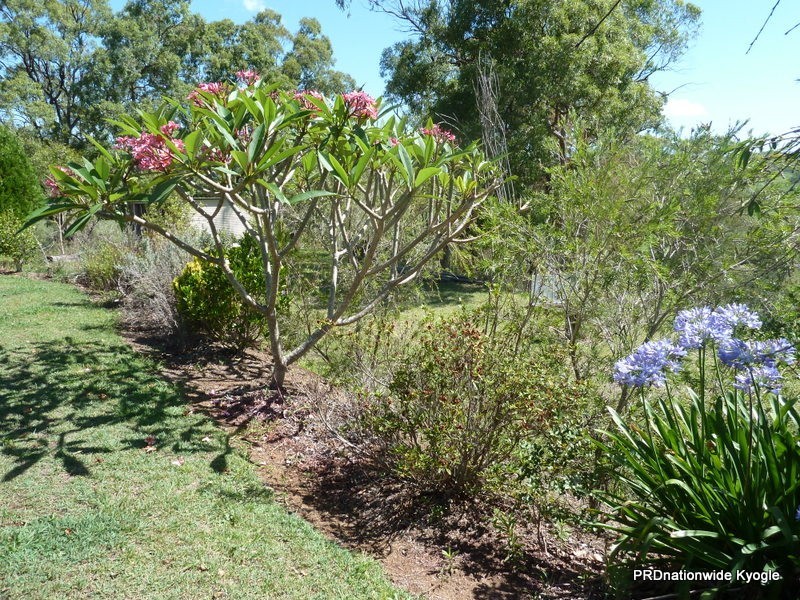 718 Back Creek Road, Kyogle NSW 2474