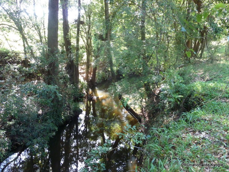 718 Back Creek Road, Kyogle NSW 2474