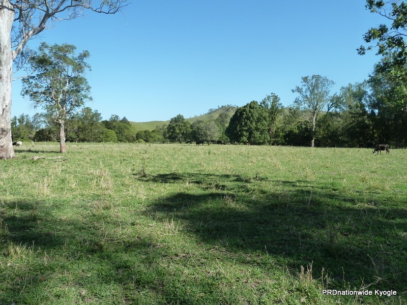 718 Back Creek Road, Kyogle NSW 2474