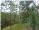 Lot 13 Roseberry Creek Road, Roseberry Creek Via, Kyogle NSW 2474