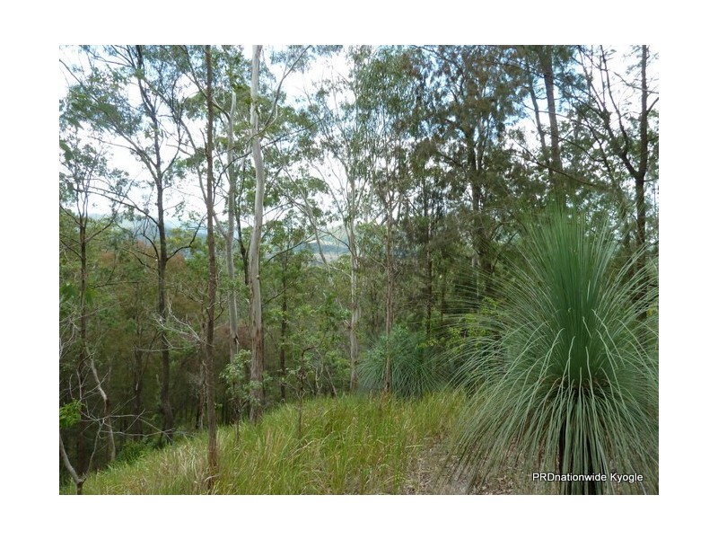 Lot 13 Roseberry Creek Road, Roseberry Creek Via, Kyogle NSW 2474