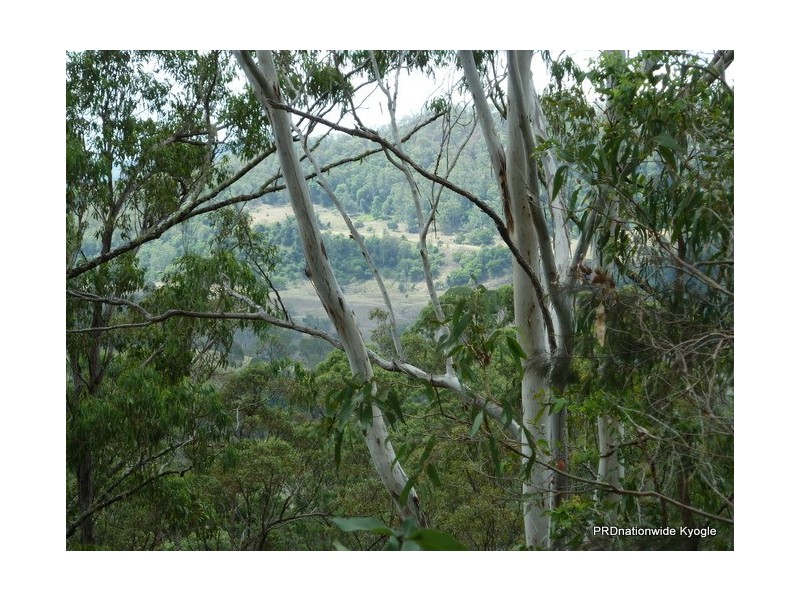 Lot 13 Roseberry Creek Road, Roseberry Creek Via, Kyogle NSW 2474