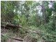 Lot 13 Roseberry Creek Road, Roseberry Creek Via, Kyogle NSW 2474