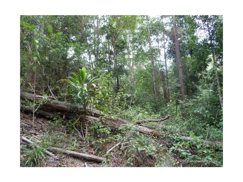 Lot 13 Roseberry Creek Road, Roseberry Creek Via, Kyogle NSW 2474