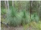 Lot 13 Roseberry Creek Road, Roseberry Creek Via, Kyogle NSW 2474