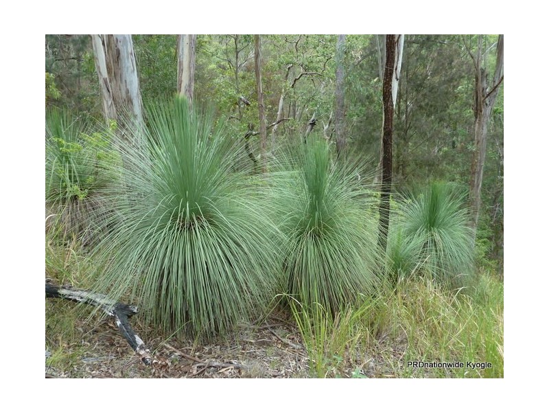 Lot 13 Roseberry Creek Road, Roseberry Creek Via, Kyogle NSW 2474