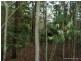 Lot 13 Roseberry Creek Road, Roseberry Creek Via, Kyogle NSW 2474