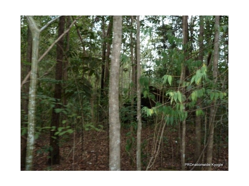 Lot 13 Roseberry Creek Road, Roseberry Creek Via, Kyogle NSW 2474
