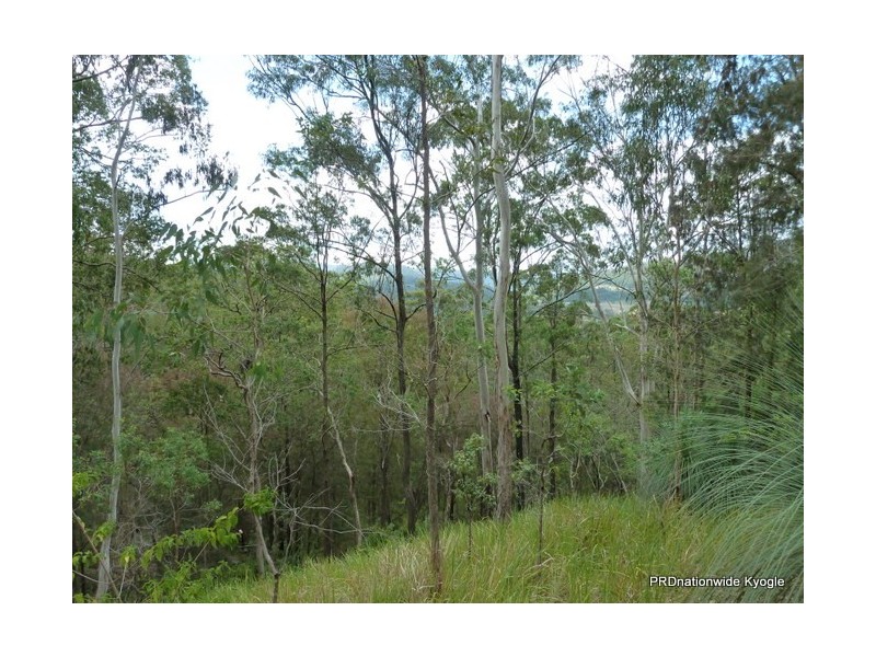 Lot 13 Roseberry Creek Road, Roseberry Creek Via, Kyogle NSW 2474