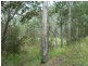 Lot 13 Roseberry Creek Road, Roseberry Creek Via, Kyogle NSW 2474