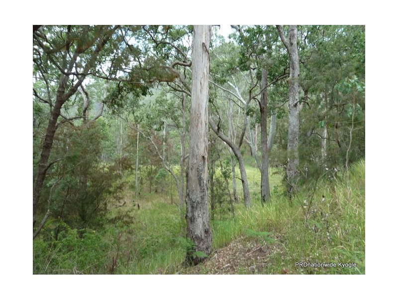 Lot 13 Roseberry Creek Road, Roseberry Creek Via, Kyogle NSW 2474
