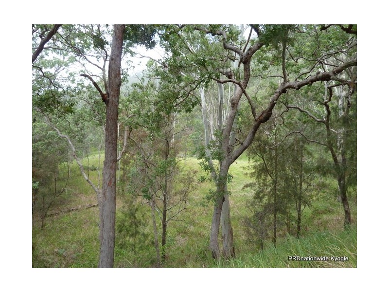 Lot 13 Roseberry Creek Road, Roseberry Creek Via, Kyogle NSW 2474