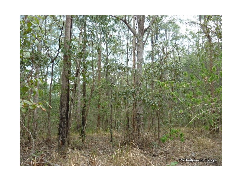Lot 13 Roseberry Creek Road, Roseberry Creek Via, Kyogle NSW 2474