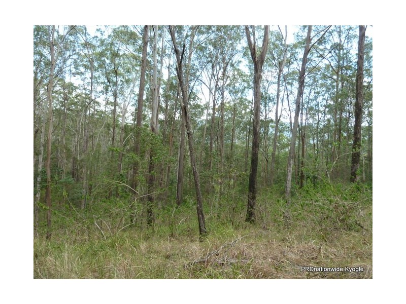 Lot 13 Roseberry Creek Road, Roseberry Creek Via, Kyogle NSW 2474