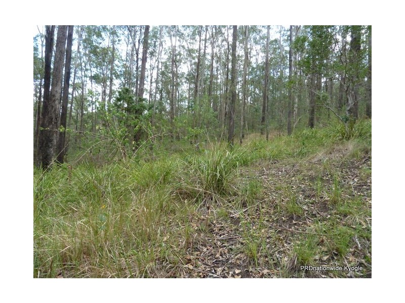 Lot 13 Roseberry Creek Road, Roseberry Creek Via, Kyogle NSW 2474