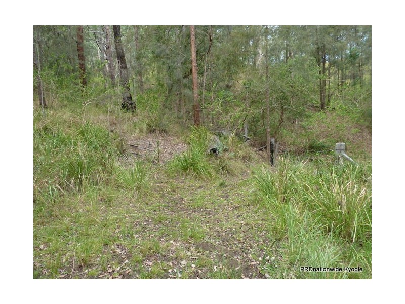 Lot 13 Roseberry Creek Road, Roseberry Creek Via, Kyogle NSW 2474