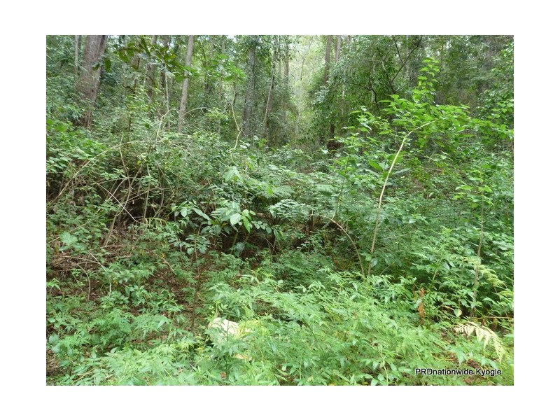 Lot 13 Roseberry Creek Road, Roseberry Creek Via, Kyogle NSW 2474