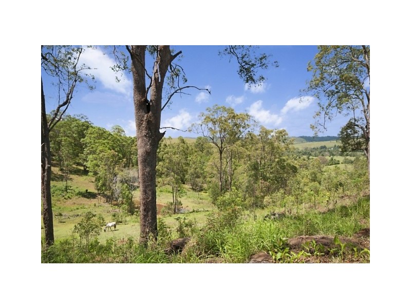 90 Iron Pot Creek, Ettrick Via, Kyogle NSW 2474
