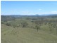 767 Afterlee Road, Kyogle NSW 2474