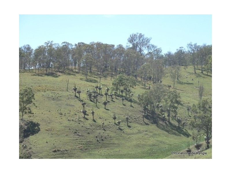 767 Afterlee Road, Kyogle NSW 2474