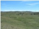 767 Afterlee Road, Kyogle NSW 2474