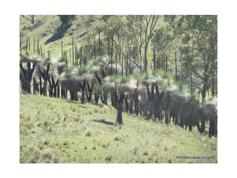 767 Afterlee Road, Kyogle NSW 2474