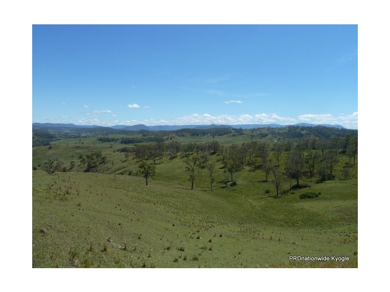 767 Afterlee Road, Kyogle NSW 2474