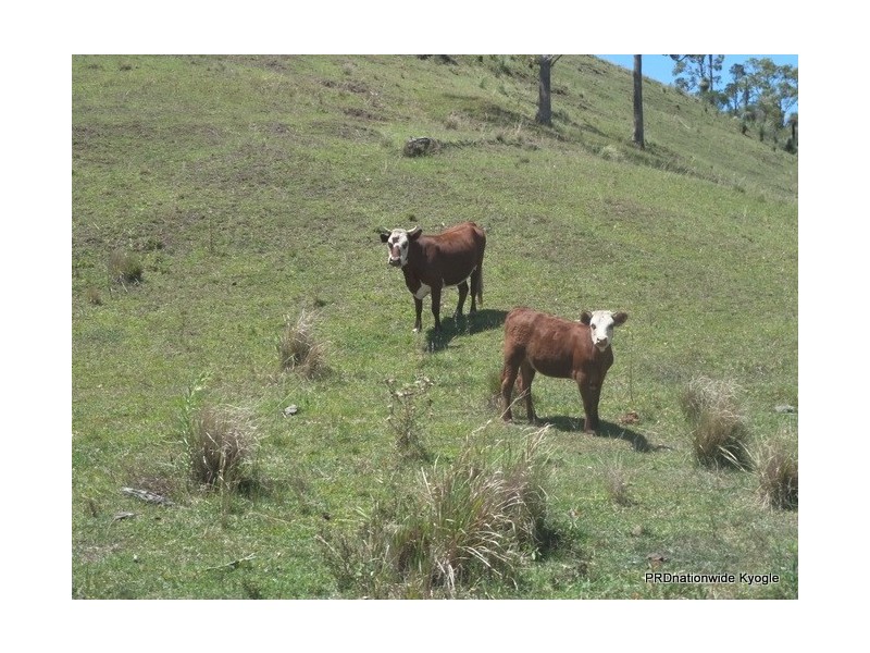 767 Afterlee Road, Kyogle NSW 2474