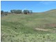 767 Afterlee Road, Kyogle NSW 2474