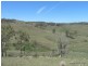 767 Afterlee Road, Kyogle NSW 2474
