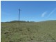 767 Afterlee Road, Kyogle NSW 2474