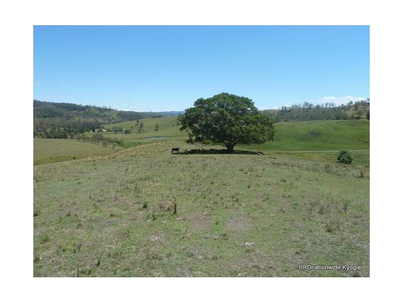 767 Afterlee Road, Kyogle NSW 2474