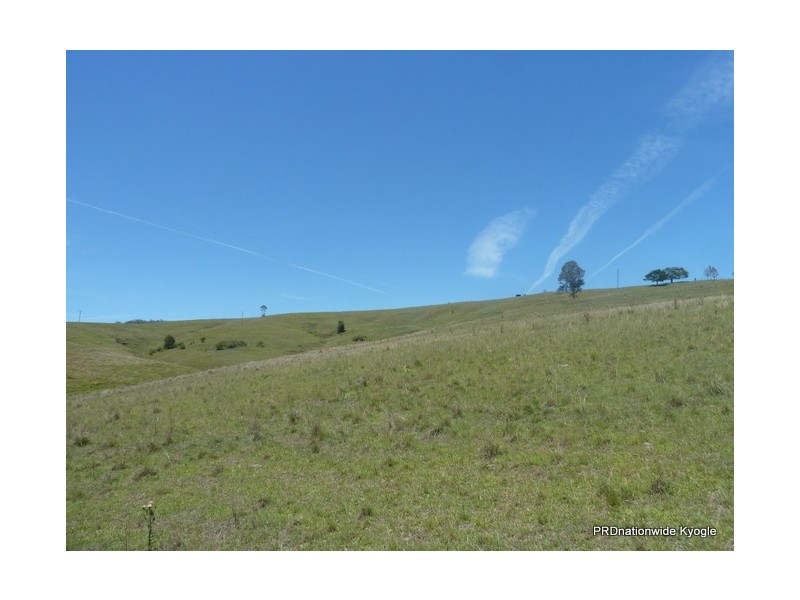 767 Afterlee Road, Kyogle NSW 2474