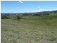 767 Afterlee Road, Kyogle NSW 2474
