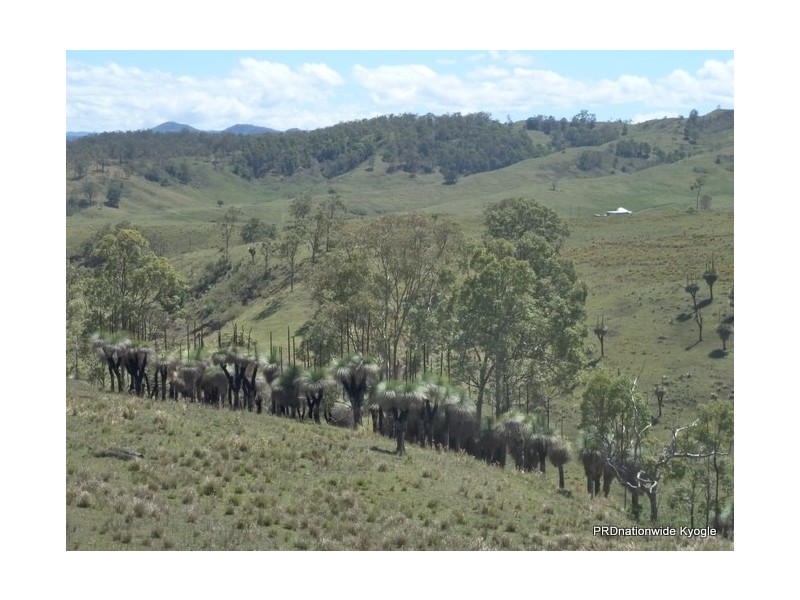767 Afterlee Road, Kyogle NSW 2474