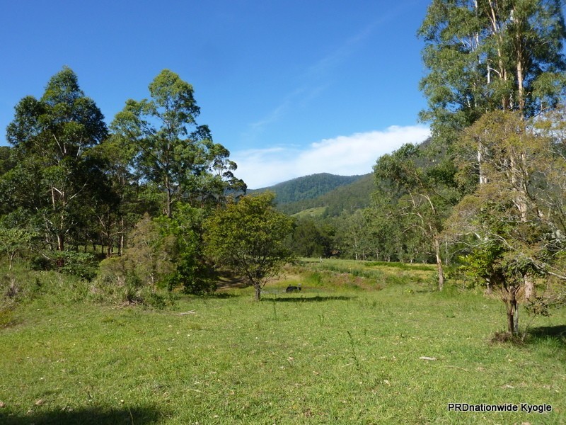 135 Brindle Creek Rd, Loadstone Via, Kyogle NSW 2474