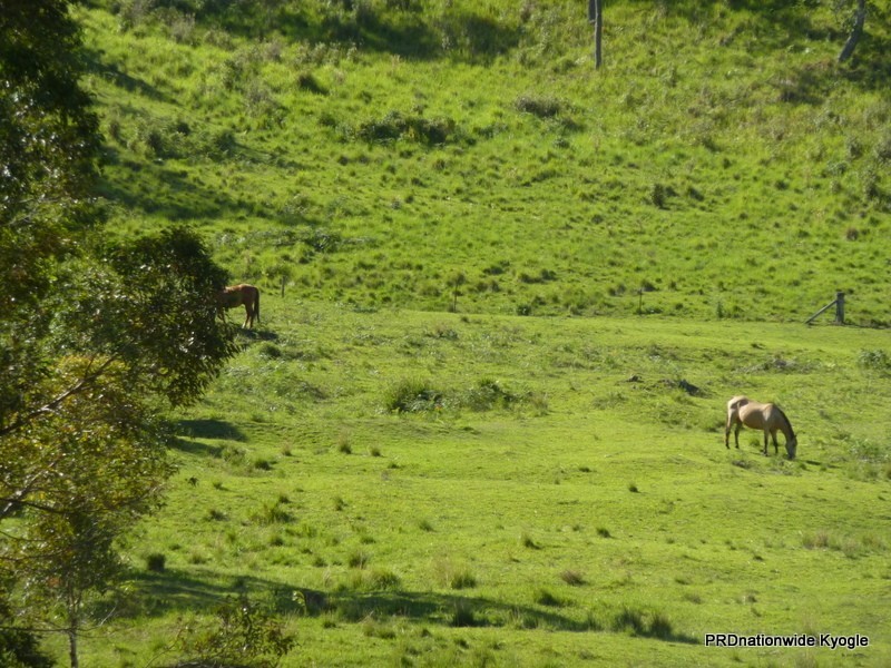 135 Brindle Creek Rd, Loadstone Via, Kyogle NSW 2474