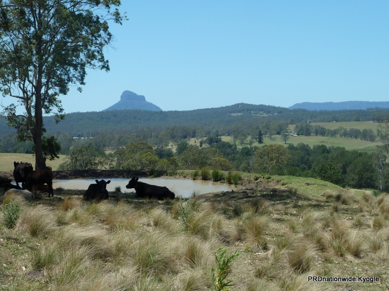 188 Martins Road Via Woodenbong, Kyogle NSW 2474