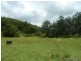 73 Crossleys Road, Kyogle NSW 2474
