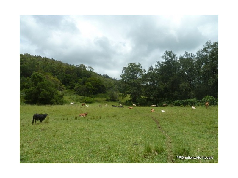 73 Crossleys Road, Kyogle NSW 2474