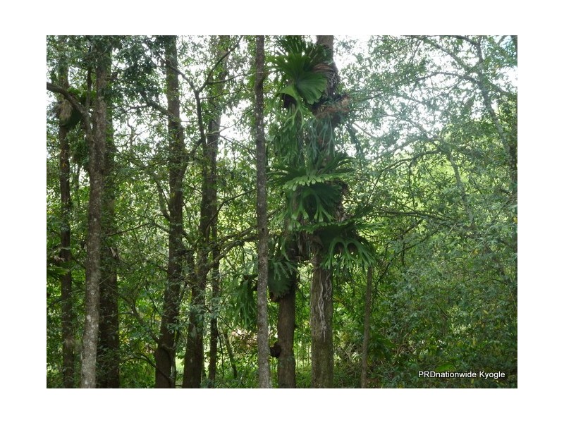 73 Crossleys Road, Kyogle NSW 2474