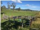 347 Summerland way, Kyogle NSW 2474