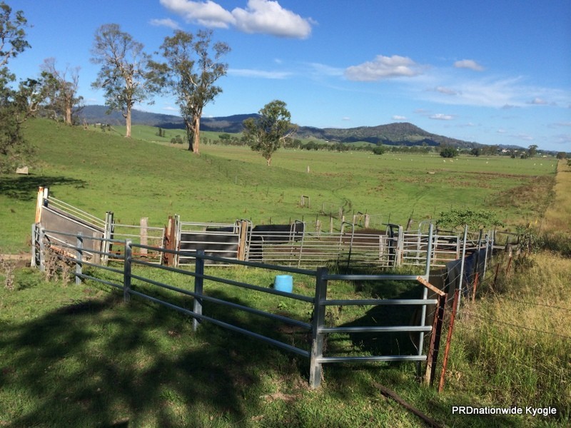 347 Summerland way, Kyogle NSW 2474