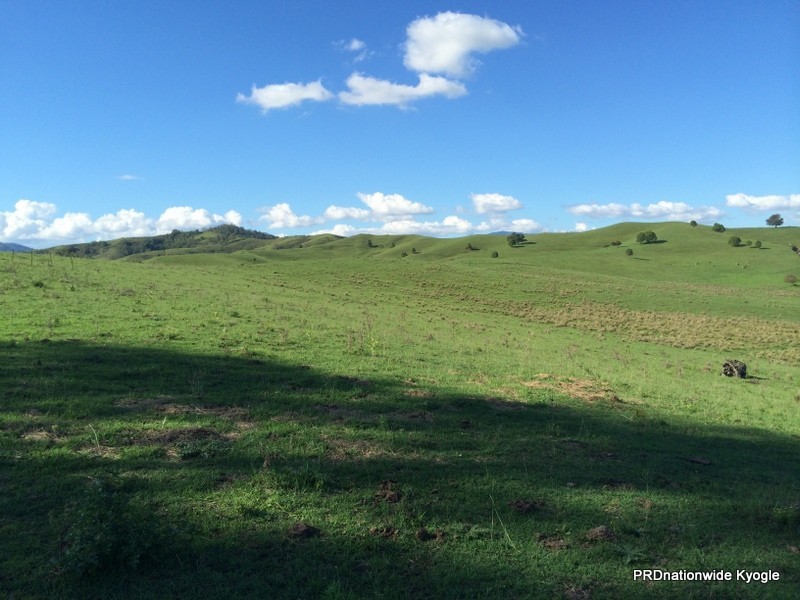 347 Summerland way, Kyogle NSW 2474