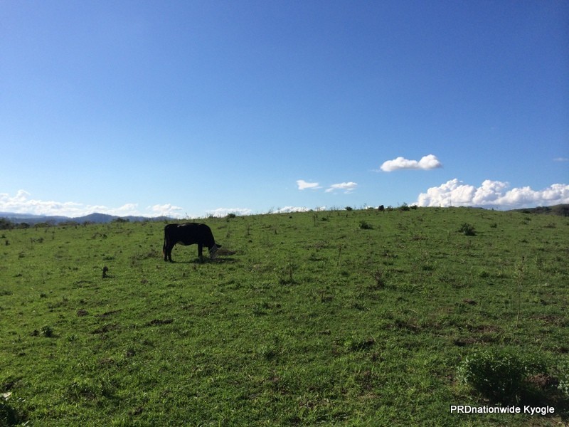 347 Summerland way, Kyogle NSW 2474